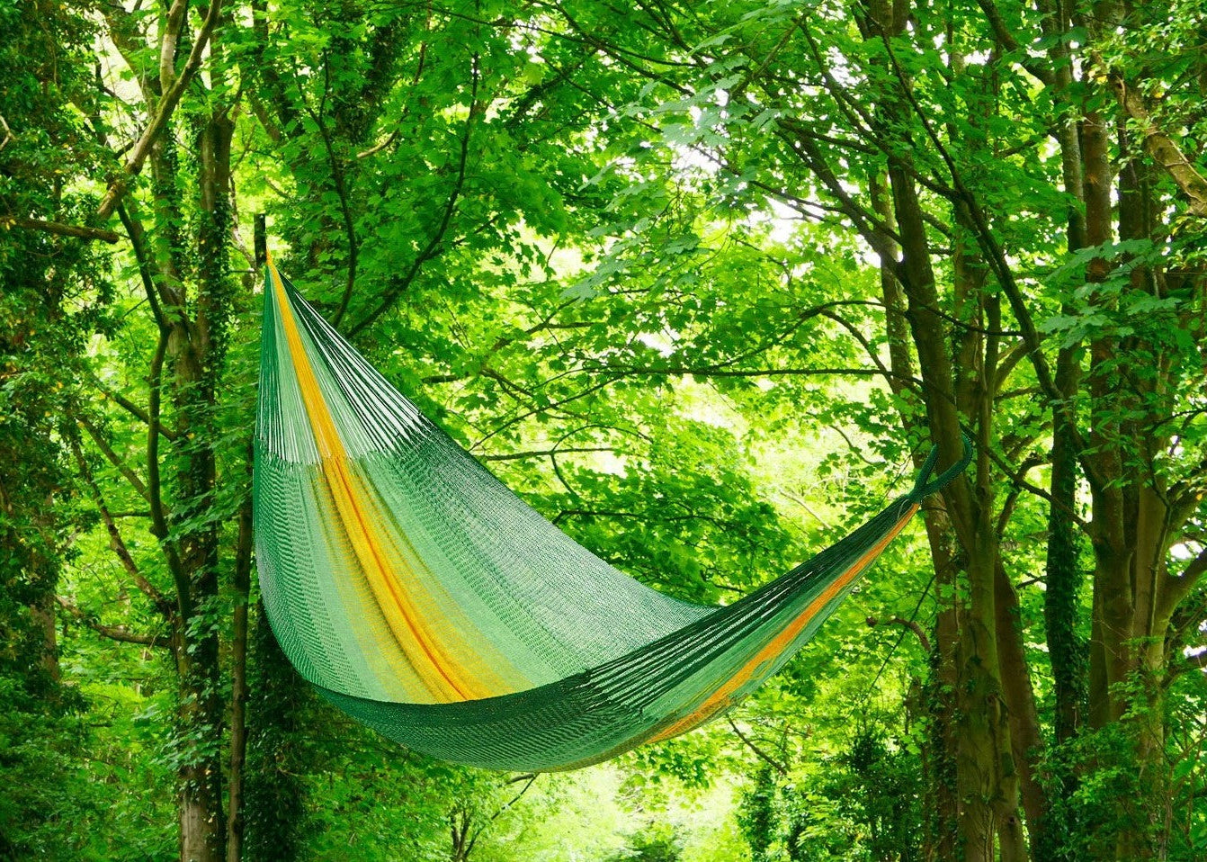 Jumbo Hammock